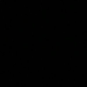 Meet your Posher, Leo